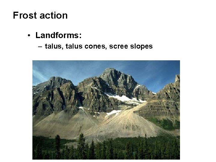 Frost action • Landforms: – talus, talus cones, scree slopes 