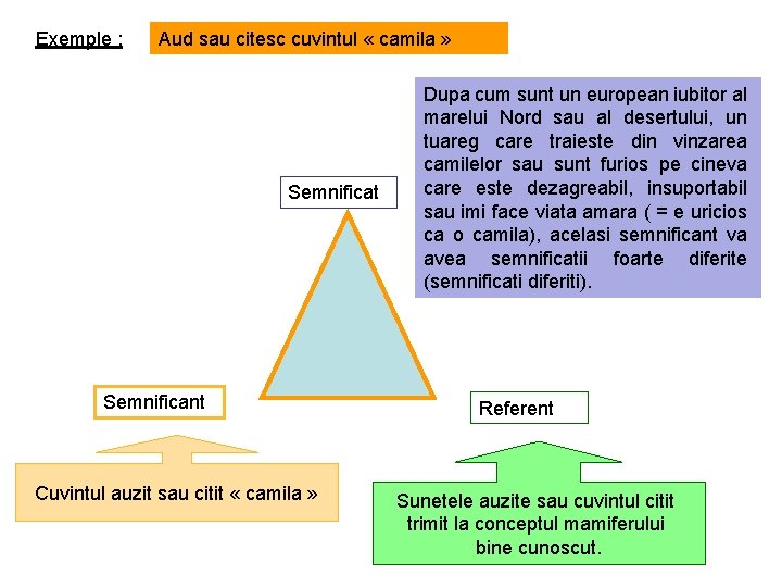 Exemple : Aud sau citesc cuvintul « camila » Semnificat Semnificant Cuvintul auzit sau