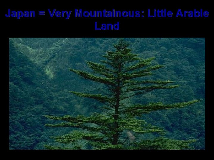 Japan = Very Mountainous: Little Arable Land 