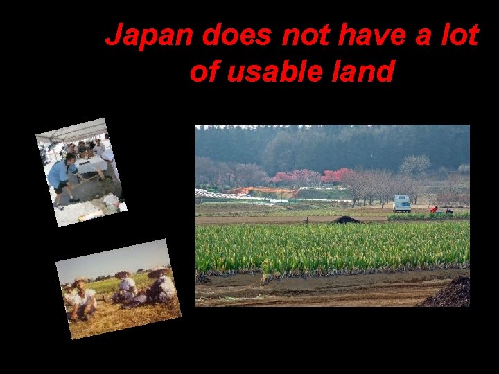 Japan does not have a lot of usable land 