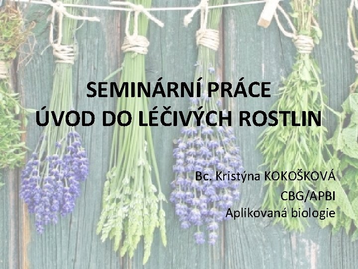 SEMINÁRNÍ PRÁCE ÚVOD DO LÉČIVÝCH ROSTLIN Bc. Kristýna KOKOŠKOVÁ CBG/APBI Aplikovaná biologie 
