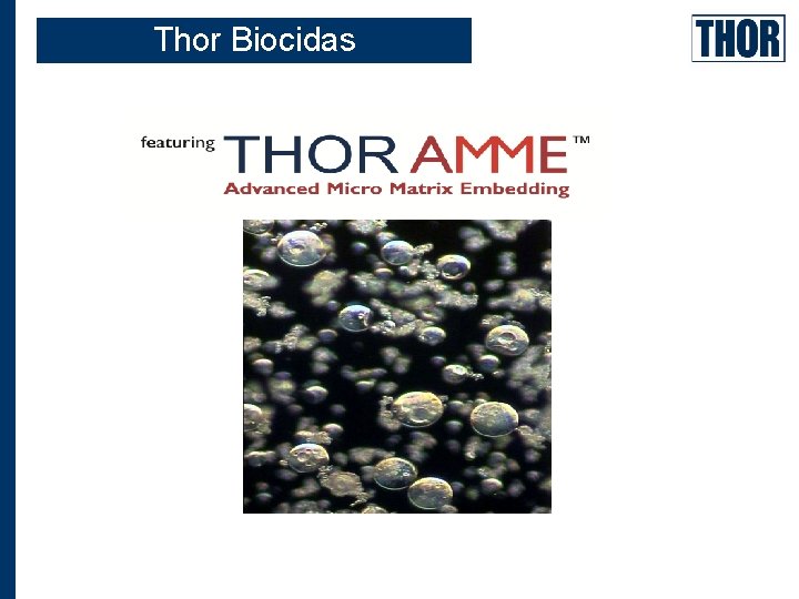 Thor Biocidas 