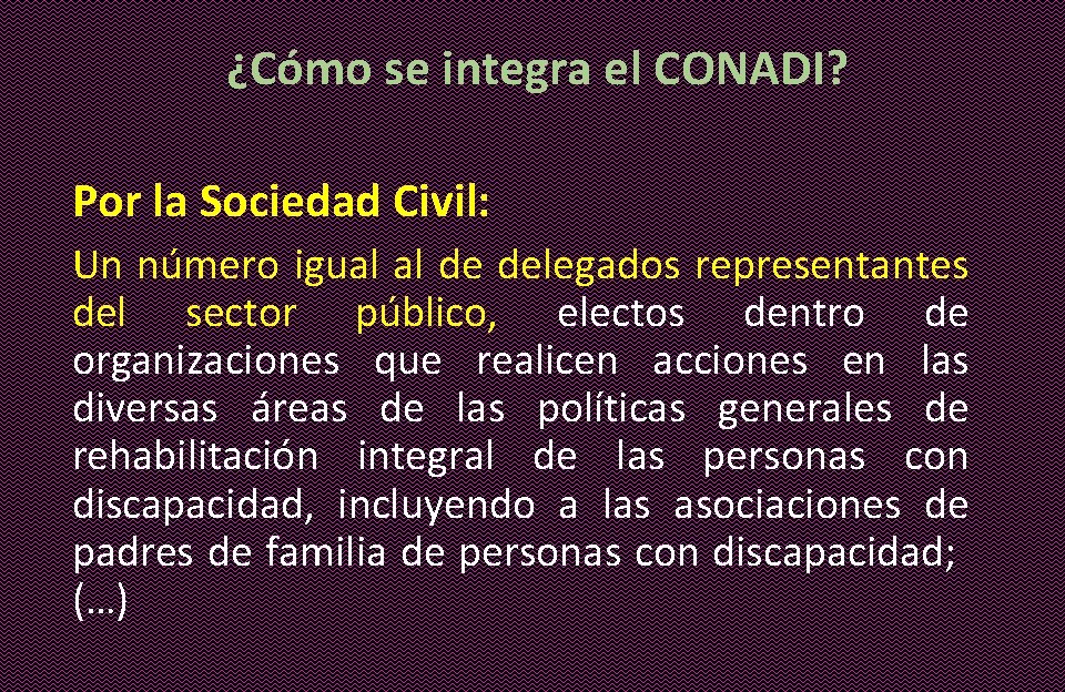 ¿Cómo se integra el CONADI? Por la Sociedad Civil: Un número igual al de