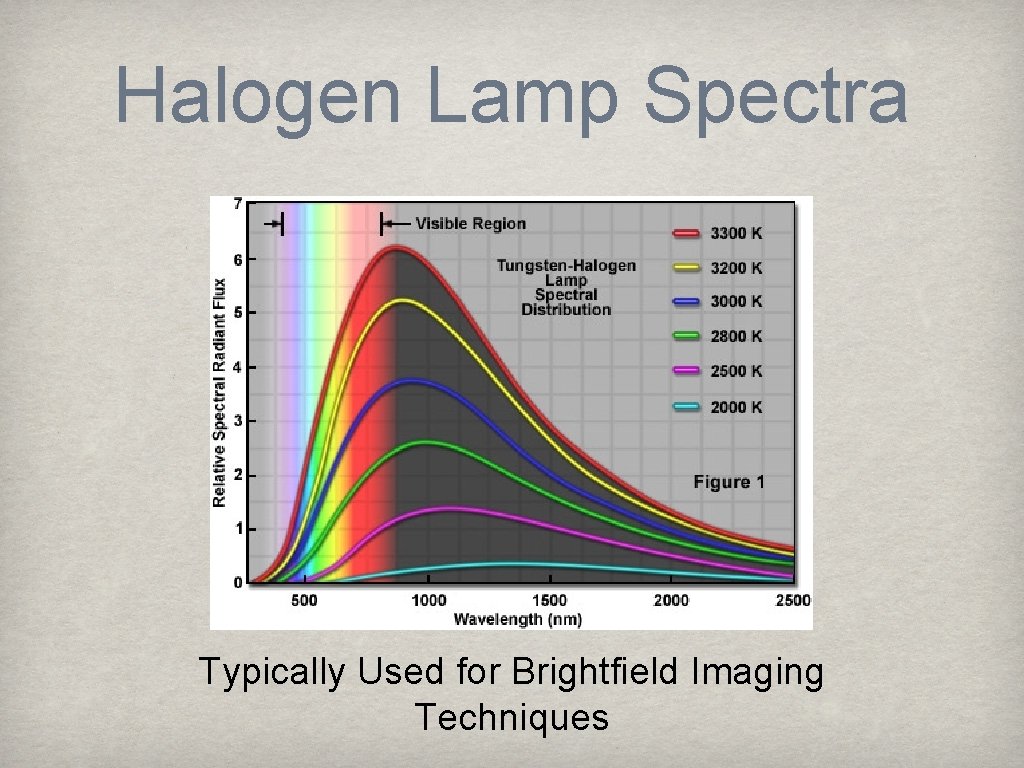 Halogen Lamp Spectra Typically Used for Brightfield Imaging Techniques 