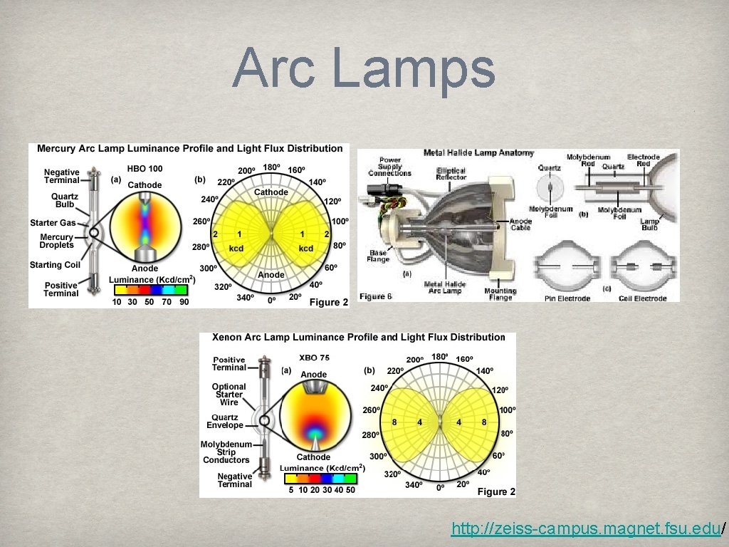 Arc Lamps http: //zeiss-campus. magnet. fsu. edu/ 