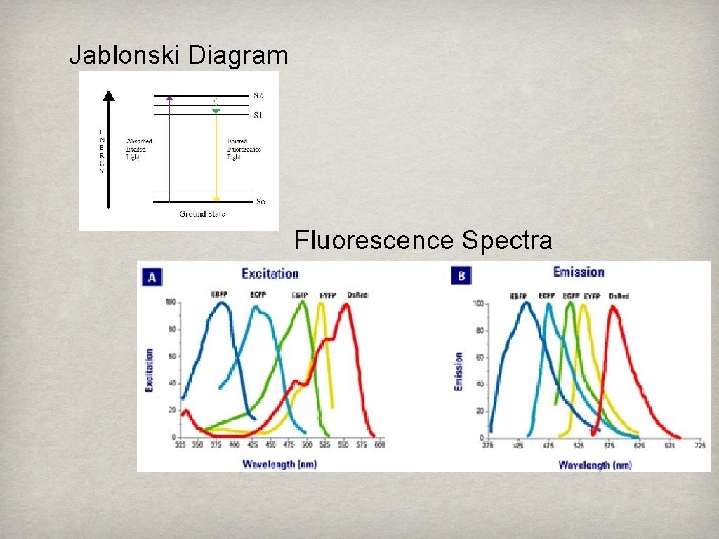 Jablonski Diagram Fluorescence Spectra 