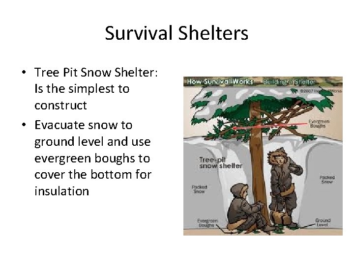 Survival Shelters • Tree Pit Snow Shelter: Is the simplest to construct • Evacuate Survival Shelters • Tree Pit Snow Shelter: Is the simplest to construct • Evacuate