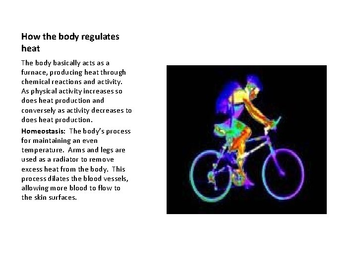How the body regulates heat The body basically acts as a furnace, producing heat How the body regulates heat The body basically acts as a furnace, producing heat