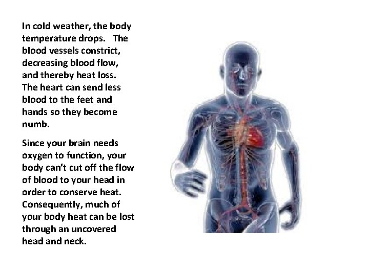 In cold weather, the body temperature drops. The blood vessels constrict, decreasing blood flow, In cold weather, the body temperature drops. The blood vessels constrict, decreasing blood flow,