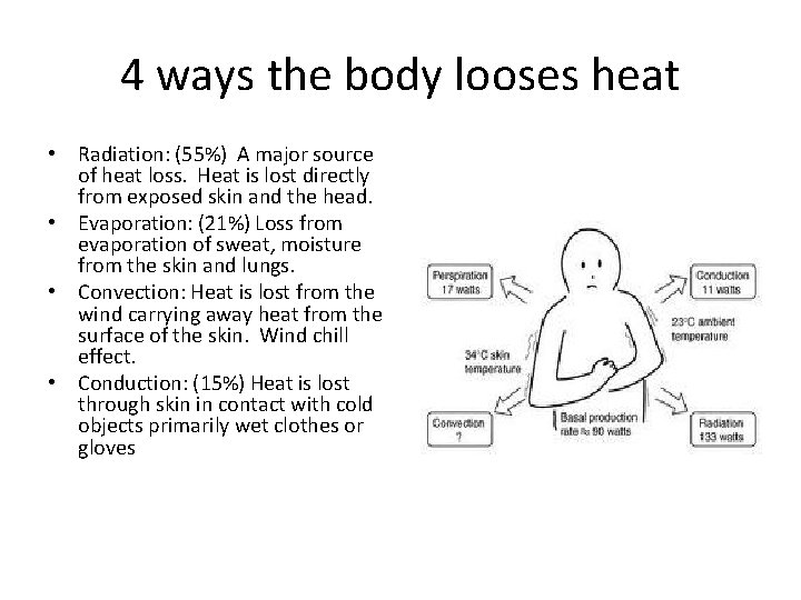 4 ways the body looses heat • Radiation: (55%) A major source of heat 4 ways the body looses heat • Radiation: (55%) A major source of heat