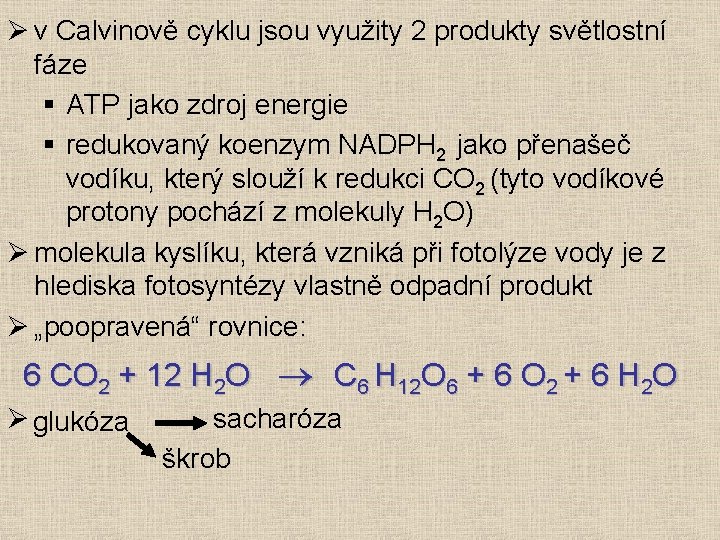 Ø v Calvinově cyklu jsou využity 2 produkty světlostní fáze § ATP jako zdroj Ø v Calvinově cyklu jsou využity 2 produkty světlostní fáze § ATP jako zdroj