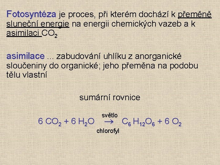 Fotosyntéza je proces, při kterém dochází k přeměně sluneční energie na energii chemických vazeb