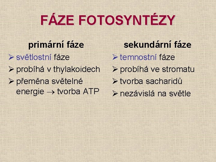 FÁZE FOTOSYNTÉZY primární fáze Ø světlostní fáze Ø probíhá v thylakoidech Ø přeměna světelné