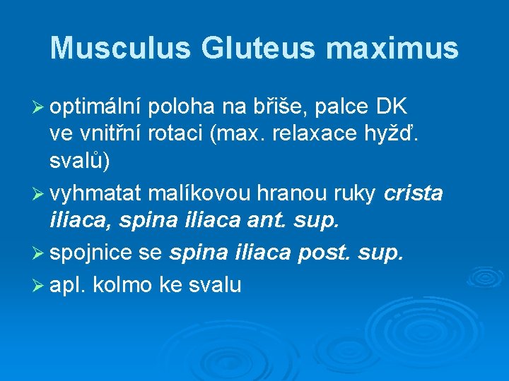 Musculus Gluteus maximus Ø optimální poloha na břiše, palce DK ve vnitřní rotaci (max.