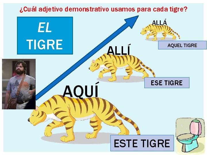 ¿Cuál adjetivo demonstrativo usamos para cada tigre? EL TIGRE AQUÍ ALLÁ ALLÍ AQUEL TIGRE