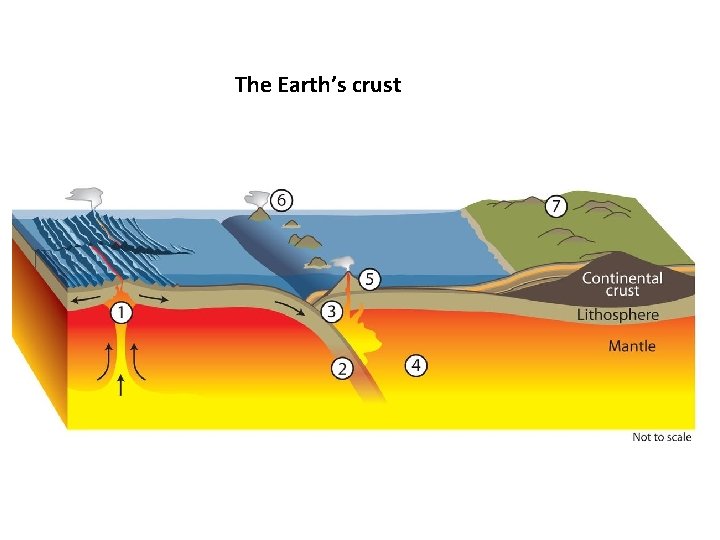 The Earth’s crust 