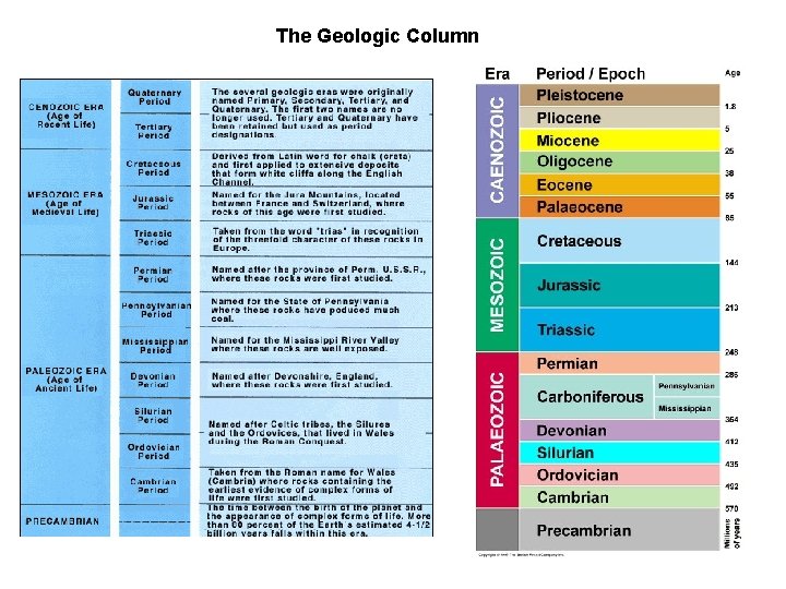 The Geologic Column 