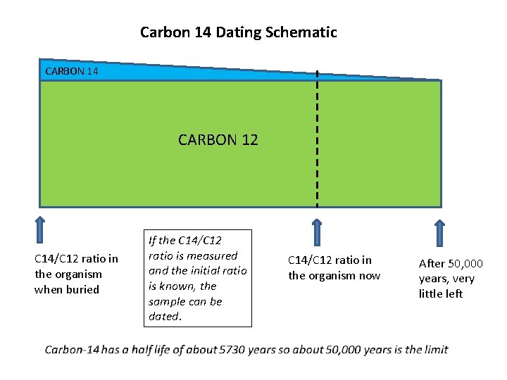 Carbon 14 Dating Schematic CARBON 14 CARBON 12 C 14/C 12 ratio in the