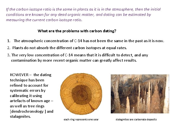 If the carbon isotope ratio is the same in plants as it is in