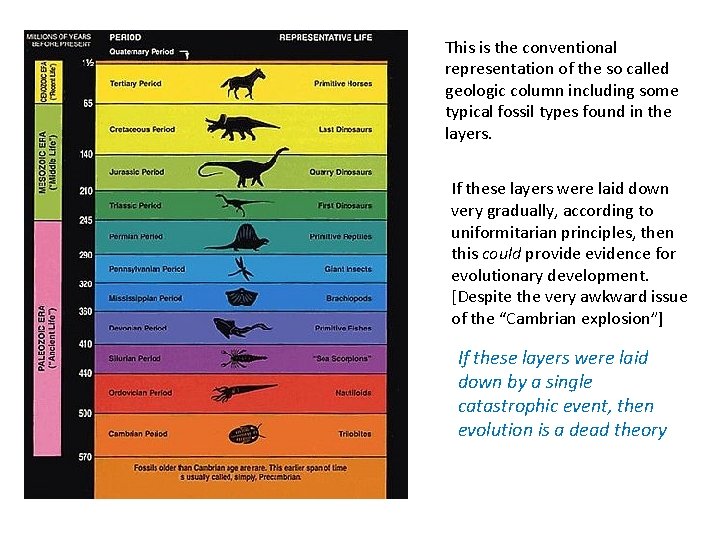 This is the conventional representation of the so called geologic column including some typical