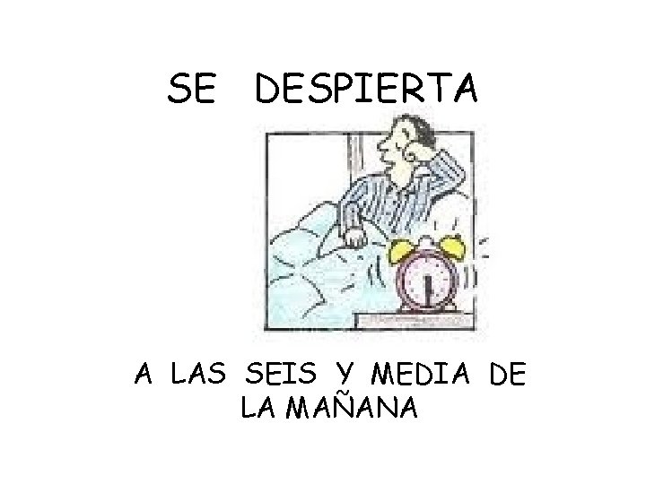 SE DESPIERTA A LAS SEIS Y MEDIA DE LA MAÑANA 