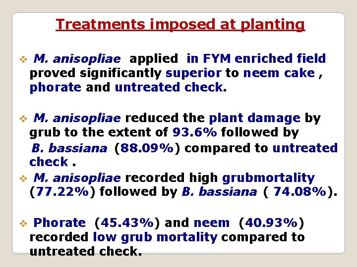 Treatments imposed at planting v M. anisopliae applied in FYM enriched field proved significantly