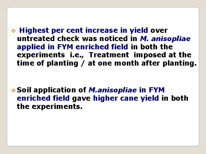 v Highest per cent increase in yield over untreated check was noticed in M.