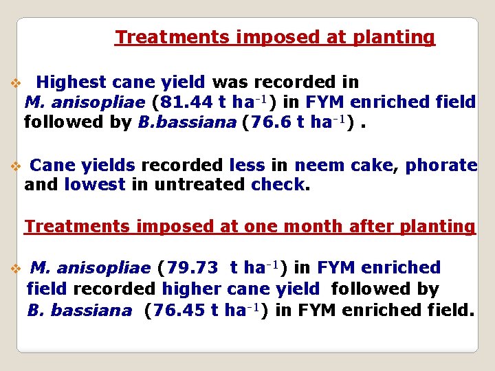 Treatments imposed at planting v Highest cane yield was recorded in M. anisopliae (81.