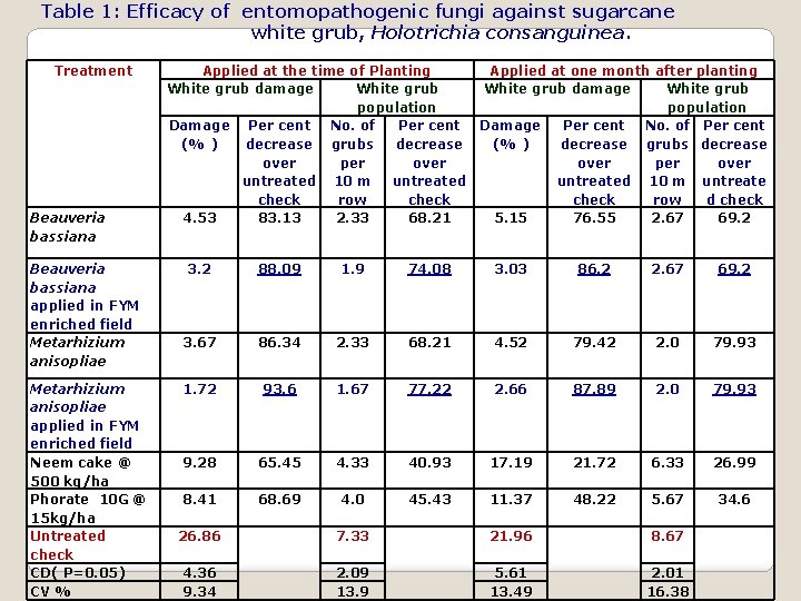 Table 1: Efficacy of entomopathogenic fungi against sugarcane white grub, Holotrichia consanguinea. Treatment Beauveria