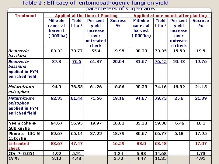 Table 2 : Efficacy of entomopathogenic fungi on yield parameters of sugarcane. Treatment Beauveria