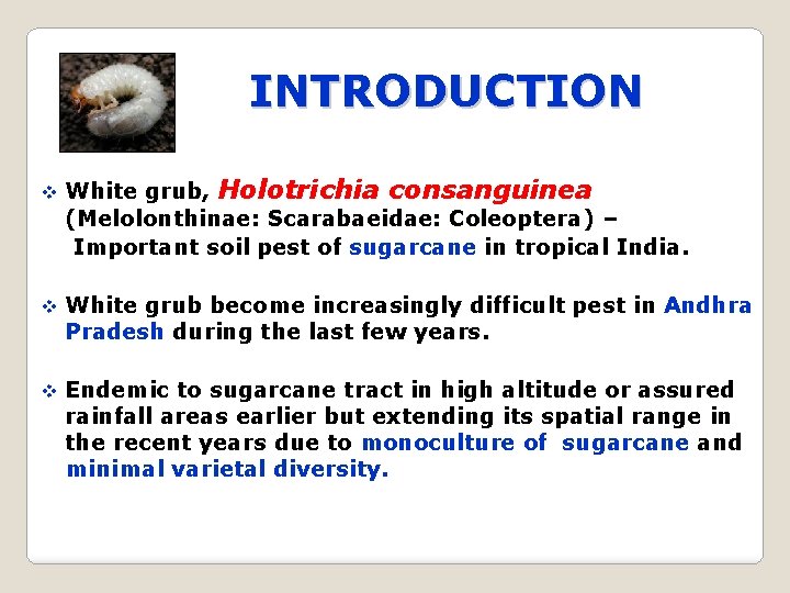 INTRODUCTION White grub, Holotrichia consanguinea (Melolonthinae: Scarabaeidae: Coleoptera) – Important soil pest of sugarcane