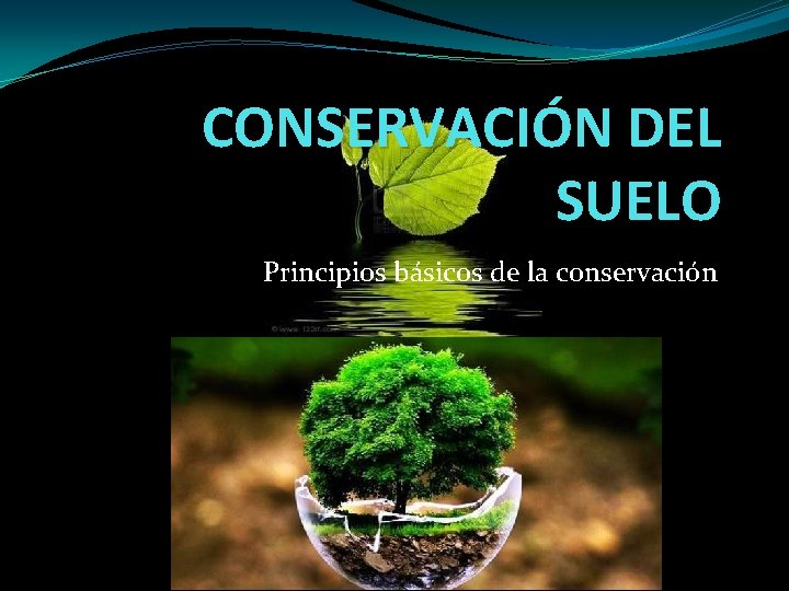 CONSERVACIÓN DEL SUELO Principios básicos de la conservación 