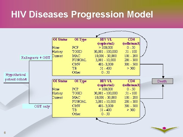 HIV Diseases Progression Model 6 