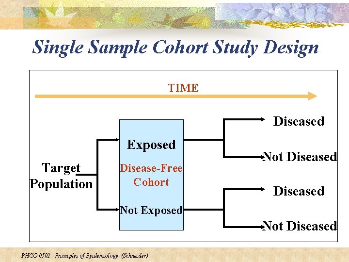 Single Sample Cohort Study Design TIME Diseased Exposed Target Population Disease-Free Cohort Not Diseased