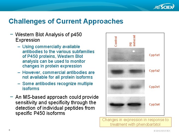 Expression – Using commercially available antibodies to the various subfamilies of P 450 proteins,