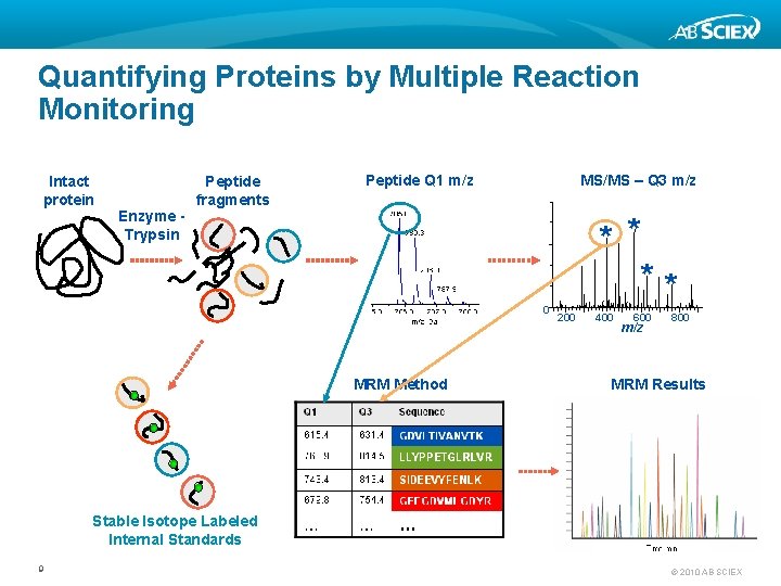 Quantifying Proteins by Multiple Reaction Monitoring Intact protein Enzyme Trypsin Peptide fragments Peptide Q