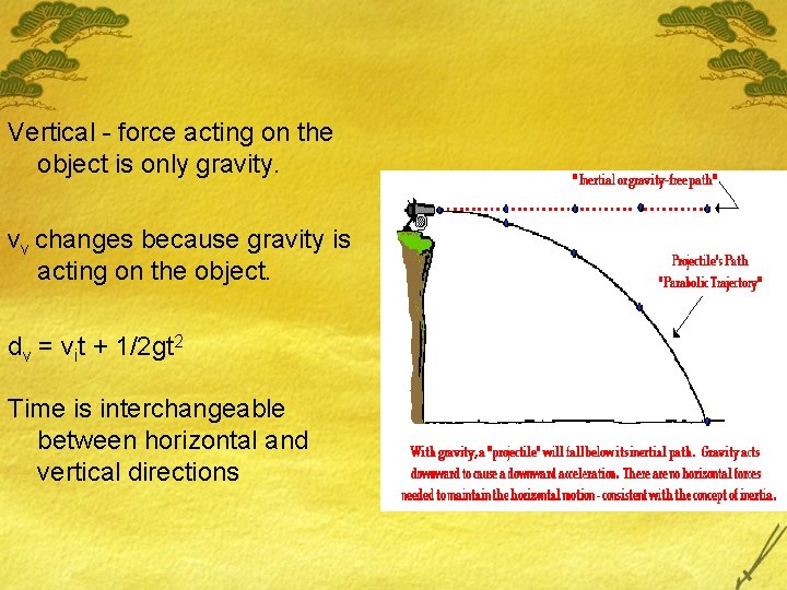 Vertical - force acting on the object is only gravity. vv changes because gravity