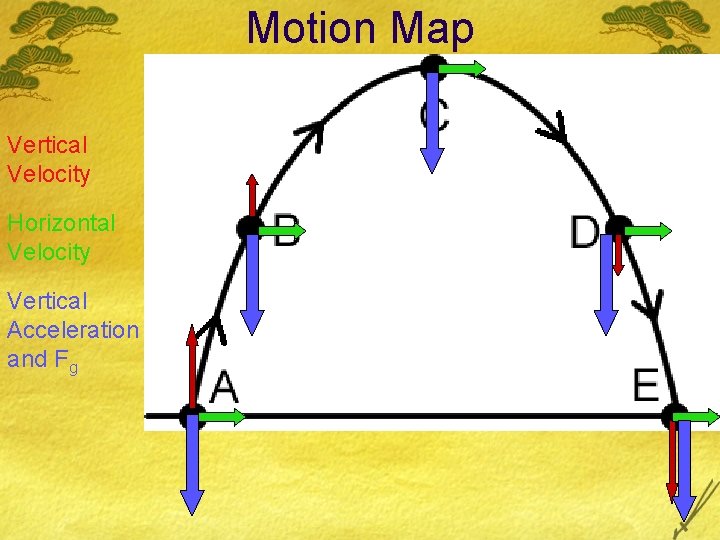 Motion Map Vertical Velocity Horizontal Velocity Vertical Acceleration and Fg 