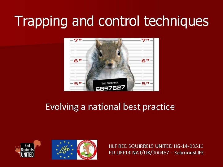 Trapping and control techniques Evolving a national best practice HLF RED SQUIRRELS UNITED HG-14