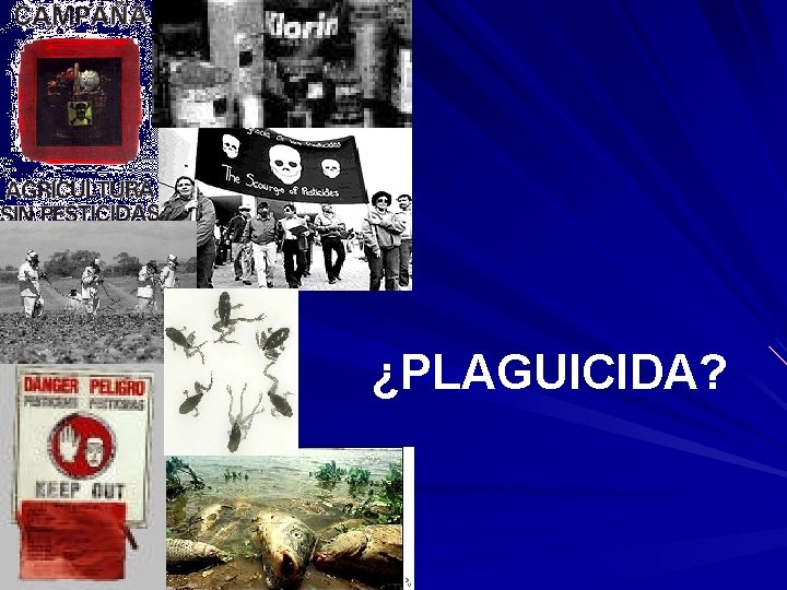 ¿PLAGUICIDA? 