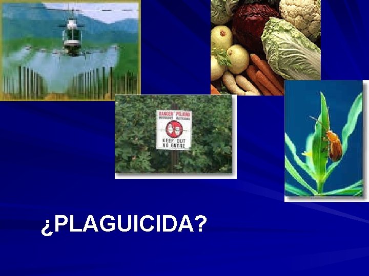 ¿PLAGUICIDA? 