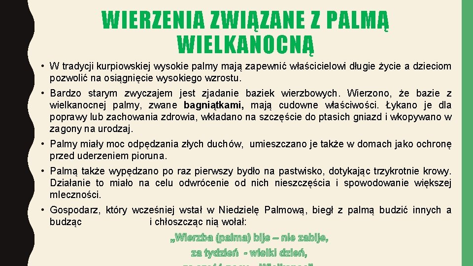 WIERZENIA ZWIĄZANE Z PALMĄ WIELKANOCNĄ • W tradycji kurpiowskiej wysokie palmy mają zapewnić właścicielowi