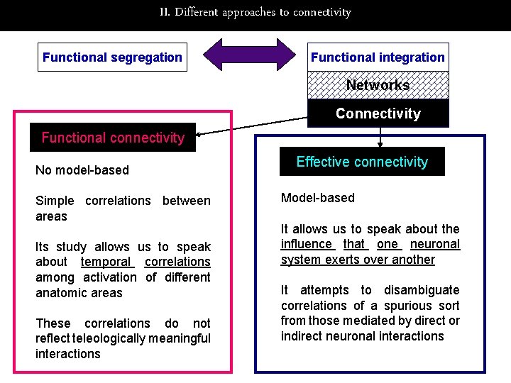 II. Different approaches to connectivity Functional segregation Functional integration Networks Connectivity Functional connectivity No