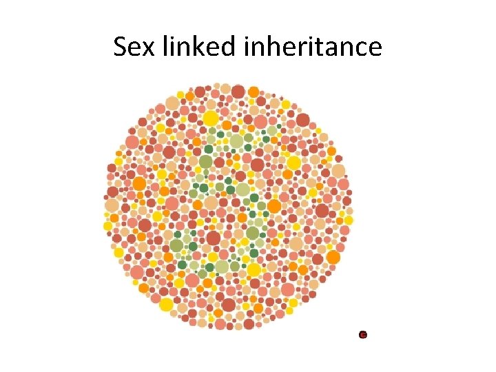 Sex linked inheritance 