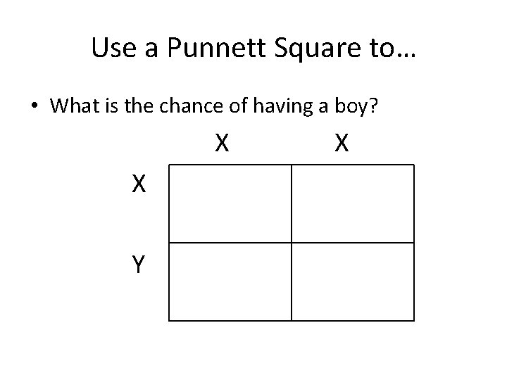 Use a Punnett Square to… • What is the chance of having a boy?