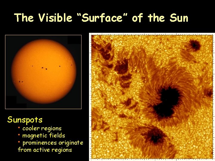 The Visible “Surface” of the Sunspots • cooler regions • magnetic fields • prominences
