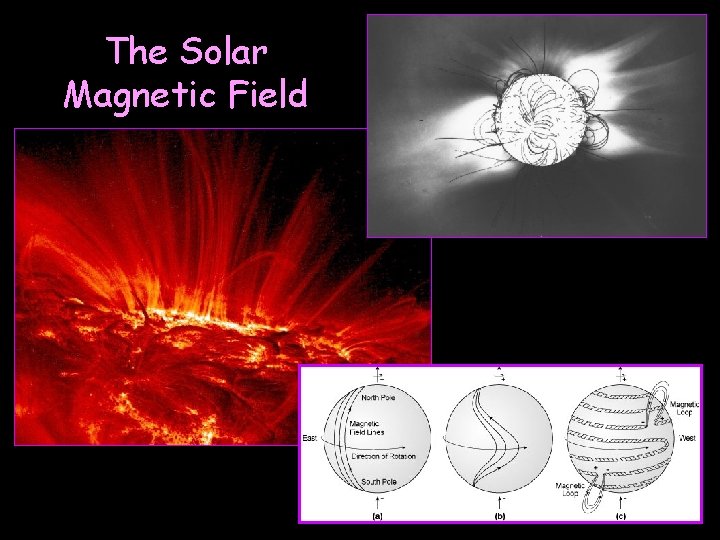 The Solar Magnetic Field 