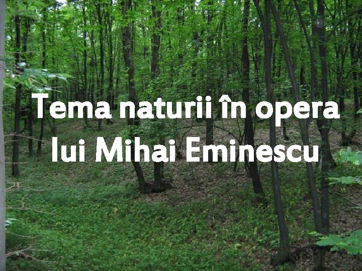 Tema naturii în opera lui Mihai Eminescu 