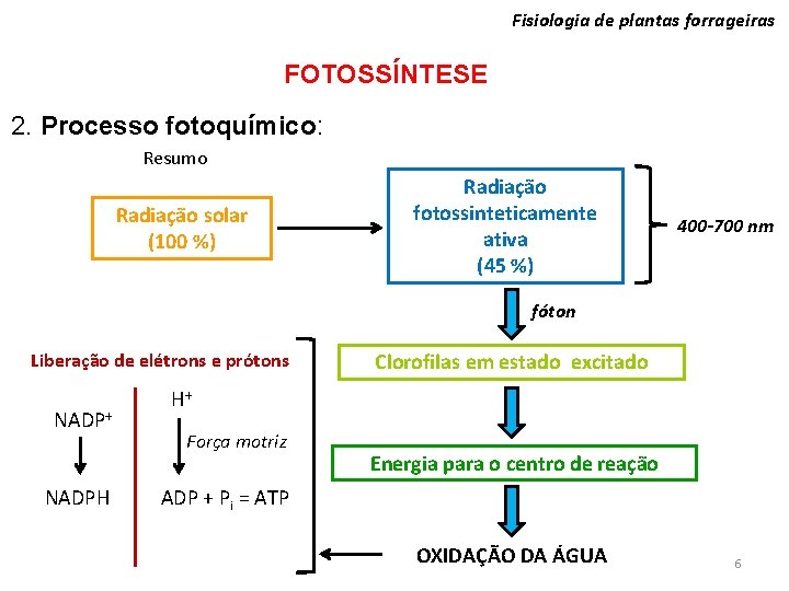 Fisiologia de plantas forrageiras FOTOSSÍNTESE 2. Processo fotoquímico: Resumo Radiação solar (100 %) Radiação