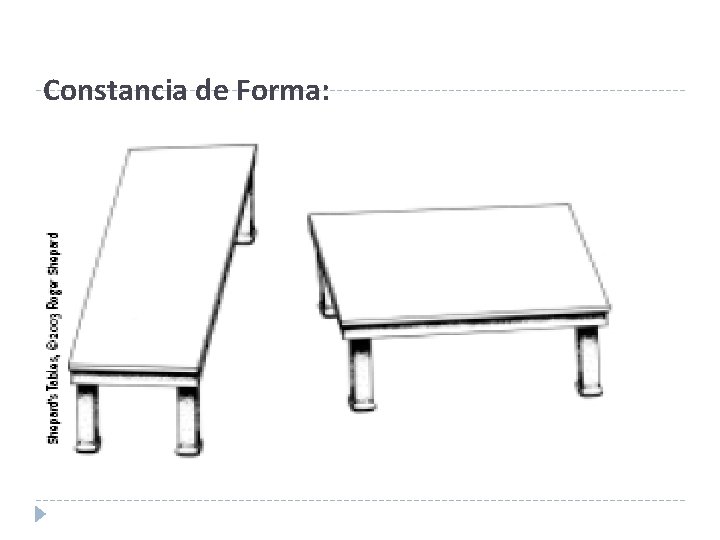 Constancia de Forma: 